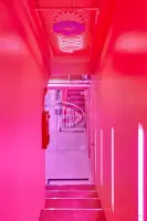 핫핑크 네온 복도 포토존 카페 인테리어